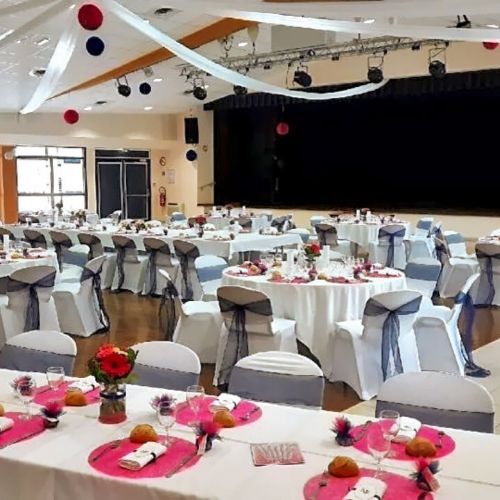 Mariage theme marine et fuschia 120 personnes